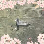 ヒメ日記 2026/03/02 09:37 投稿 水城さつき セクシーキャット 神田店