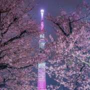 ヒメ日記 2026/03/09 09:37 投稿 水城さつき セクシーキャット 神田店