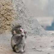 ヒメ日記 2026/03/12 09:51 投稿 水城さつき セクシーキャット 神田店