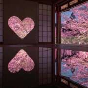 ヒメ日記 2026/03/23 10:13 投稿 水城さつき セクシーキャット 神田店