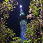 ヒメ日記 2026/04/10 10:01 投稿 水城さつき セクシーキャット 神田店