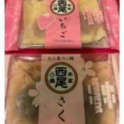 ヒメ日記 2026/04/11 12:43 投稿 水城さつき セクシーキャット 神田店