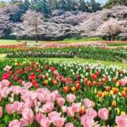 ヒメ日記 2026/04/13 10:08 投稿 水城さつき セクシーキャット 神田店