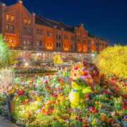 ヒメ日記 2026/04/16 09:56 投稿 水城さつき セクシーキャット 神田店