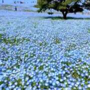 水城さつき おはようございます♪ セクシーキャット 神田店