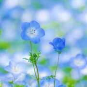 ヒメ日記 2026/04/23 10:54 投稿 水城さつき セクシーキャット 神田店