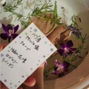 ヒメ日記 2026/05/22 10:02 投稿 水城さつき セクシーキャット 神田店