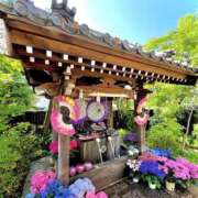 ヒメ日記 2026/06/09 10:01 投稿 水城さつき セクシーキャット 神田店