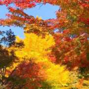 ヒメ日記 2026/10/14 10:09 投稿 水城さつき セクシーキャット 神田店