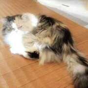 ヒメ日記 2025/12/01 17:31 投稿 ゆりの 熟女の風俗最終章 宇都宮店