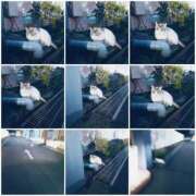 ヒメ日記 2026/04/08 22:56 投稿 ゆりの 熟女の風俗最終章 宇都宮店