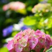 ヒメ日記 2025/06/26 21:43 投稿 ひろみ 熟女の風俗最終章 所沢店