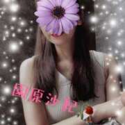 ヒメ日記 2025/08/26 10:18 投稿 園原 沙紀 名古屋貴楼館