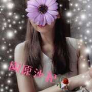 ヒメ日記 2025/09/09 12:58 投稿 園原 沙紀 名古屋貴楼館