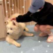 ヒメ日記 2025/06/08 12:04 投稿 にの 萌えカワ