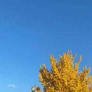 ヒメ日記 2025/09/27 05:02 投稿 にの 萌えカワ