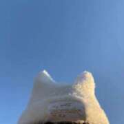 ヒメ日記 2025/11/24 06:02 投稿 にの 萌えカワ