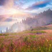 ヒメ日記 2025/05/29 08:18 投稿 ゆか 妻天 梅田店