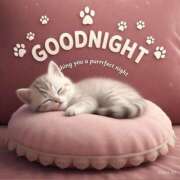 ヒメ日記 2025/06/02 23:04 投稿 ゆか 妻天 梅田店