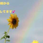 ヒメ日記 2025/06/25 12:08 投稿 ゆか 妻天 梅田店