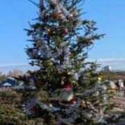 ヒメ日記 2025/12/22 14:47 投稿 ゆか 妻天 梅田店