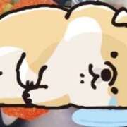 ヒメ日記 2025/12/27 15:13 投稿 ゆか 妻天 梅田店