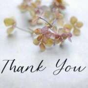 ヒメ日記 2026/01/15 15:13 投稿 ゆか 妻天 梅田店