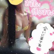 ヒメ日記 2025/06/16 11:16 投稿 くれあ club さくら日本橋店