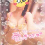 ヒメ日記 2025/07/03 08:36 投稿 くれあ club さくら日本橋店