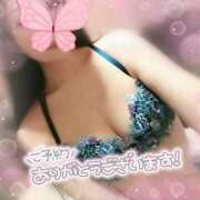 ヒメ日記 2025/07/11 15:26 投稿 くれあ club さくら日本橋店