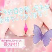 ヒメ日記 2025/09/14 19:06 投稿 くれあ club さくら日本橋店