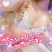 ヒメ日記 2025/09/16 10:06 投稿 くれあ club さくら日本橋店