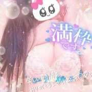 ヒメ日記 2025/09/25 16:06 投稿 くれあ club さくら日本橋店