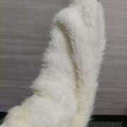 ヒメ日記 2025/12/05 12:46 投稿 くれあ club さくら日本橋店