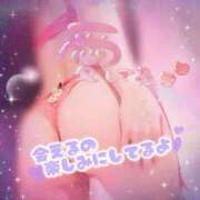 ヒメ日記 2026/02/07 10:56 投稿 くれあ club さくら日本橋店