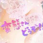 ヒメ日記 2025/08/24 11:46 投稿 くれあ 奥様さくら日本橋店