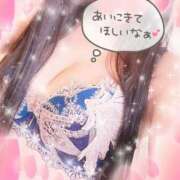 ヒメ日記 2026/01/06 11:26 投稿 くれあ 奥様さくら日本橋店