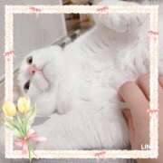 ヒメ日記 2025/05/28 17:54 投稿 るき 清楚