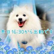 ヒメ日記 2025/05/31 05:07 投稿 るき 清楚