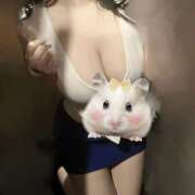 ヒメ日記 2025/10/23 14:21 投稿 しずく ときめき女学院