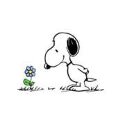 ヒメ日記 2025/05/11 22:45 投稿 みなせ 僕のぽっちゃり伝説