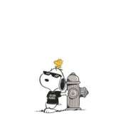 ヒメ日記 2025/05/23 22:45 投稿 みなせ 僕のぽっちゃり伝説