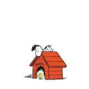 ヒメ日記 2025/05/26 23:15 投稿 みなせ 僕のぽっちゃり伝説