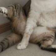 ヒメ日記 2025/05/22 15:34 投稿 金井 桃李（とうり）