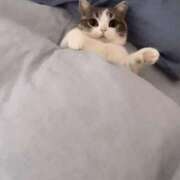 ヒメ日記 2025/05/22 15:54 投稿 金井 桃李（とうり）