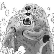 ヒメ日記 2025/05/29 09:44 投稿 金井 桃李（とうり）