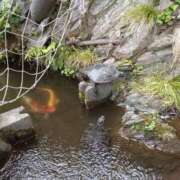 ヒメ日記 2025/05/31 01:24 投稿 金井 桃李（とうり）