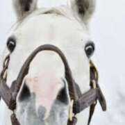 ヒメ日記 2025/06/03 01:44 投稿 金井 桃李（とうり）