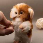 ヒメ日記 2025/06/03 17:24 投稿 金井 桃李（とうり）