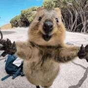 ヒメ日記 2025/06/04 12:05 投稿 金井 桃李（とうり）